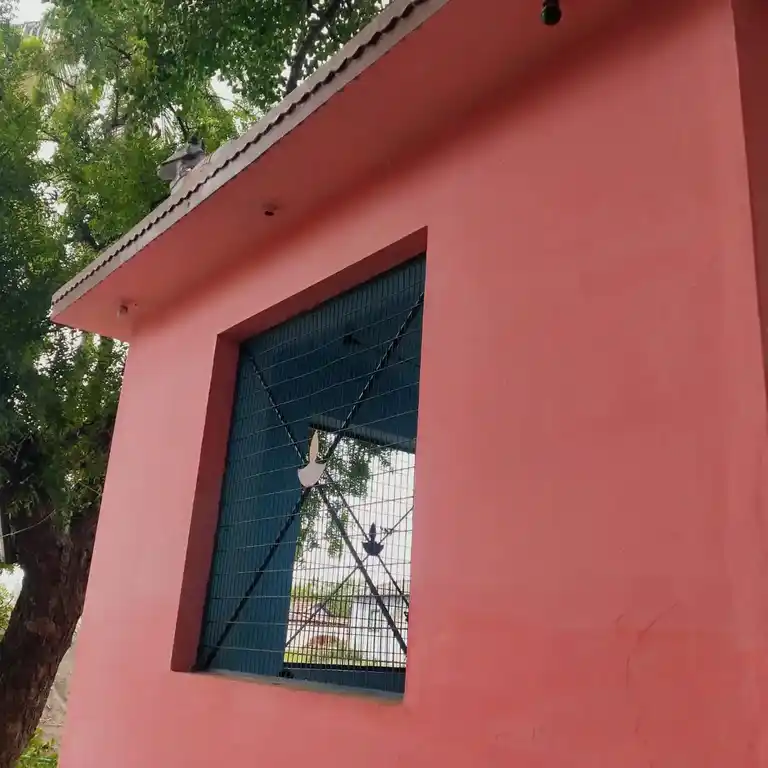 Arulmigu Vinayagar Temple, Veeranampalayam - 638052 அருள்மிகு விநாயகர் திருக்கோயில், வீரனாம்பாளையம் - 638052, Erode - Ancient Temple Architecture and History Image 2