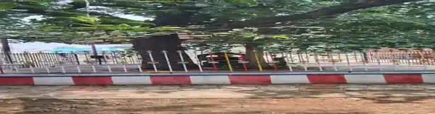 Arulmigu Vinayagar Temple, Velayuthampalayam - 624802 அருள்மிகு விநாயகர் திருக்கோயில், Velayuthampalayam - 624802, Dindigul - Ancient Temple Architecture and History Image 2