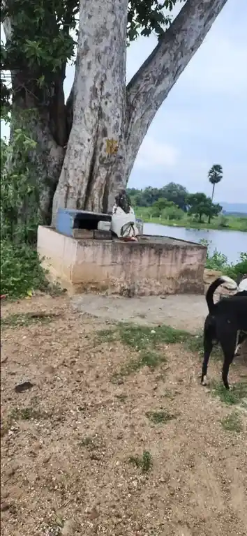 Arulmigu Vinayagar Temple, Velliankundram - 625301 அருள்மிகு விநாயகர் திருக்கோயில், Velliankundram - 625301, Madurai - Ancient Temple Architecture and History Image 2