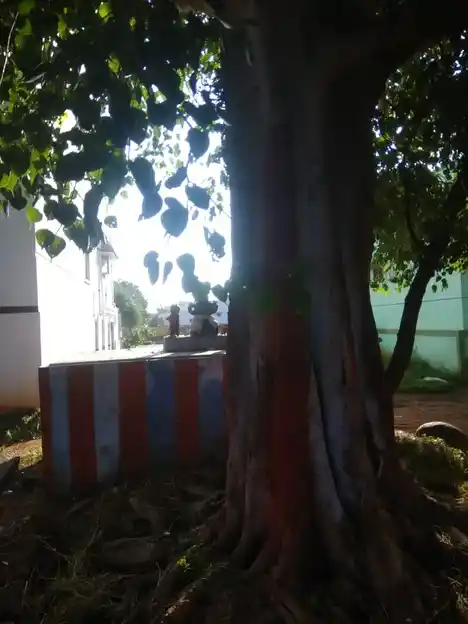 Arulmigu Vinayagar Temple, Viralippatti - 624202 அருள்மிகு விநாயகர் திருக்கோயில், Viralippatti - 624202, Dindigul - Ancient Temple Architecture and History Image 3