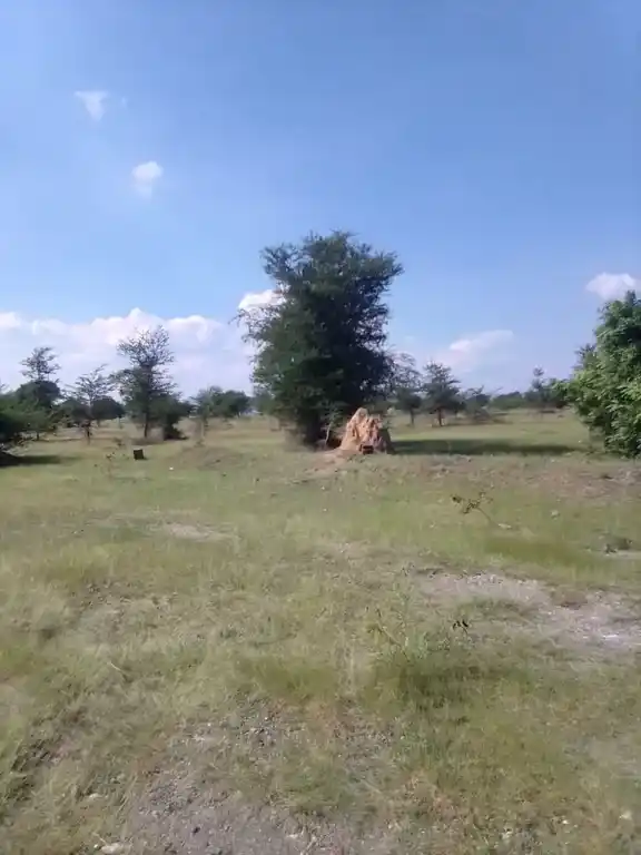 Arulmigu Vinayagartemple, Kothambatti - 621010 Arulmigu VinayagarTemple, Kothambatti - 621010, Thiruchirappalli - Ancient Temple Architecture and History Image 11