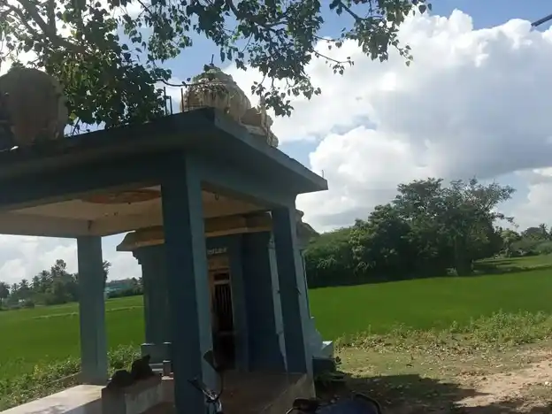 Arulmigu Vinayager Temple, Vattanur, Vattanur - 614630 அருள்மிகு விநாயகர் திருக்கோயில், வேட்டனுார், அறந்தாங்கி வட்டம் - 614630, Pudukkottai - Ancient Temple Architecture and History Image 4