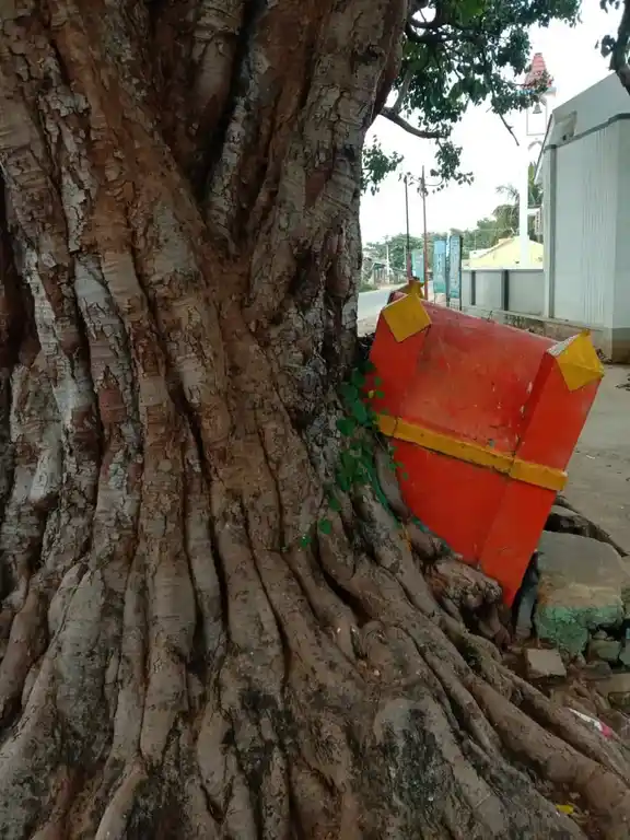 Arulmigu Vinayakar Temple, Thottakajanoor - 638461 அருள்மிகு விநாயகர் திருக்கோயில், Thottakajanoor - 638461, Erode - Ancient Temple Architecture and History Image 4