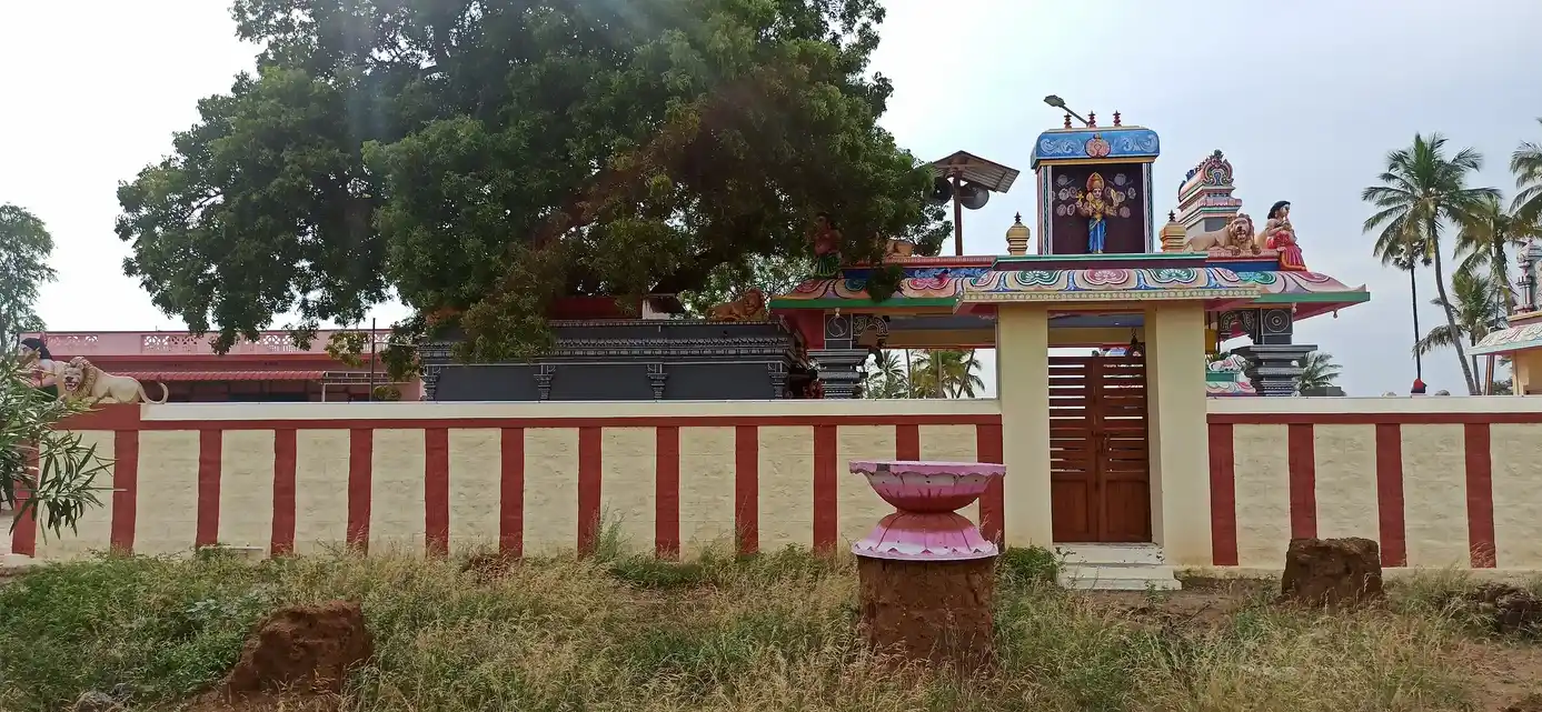Arulmigu Vinayaker Kaliammn Temple, Thalagarai, Moolanur - 638106 அருள்மிகு விநாயகர் காளியம்மன் திருக்கோயில், Thalagarai, Moolanur - 638106, Tiruppur - Ancient Temple Architecture and History Image 3