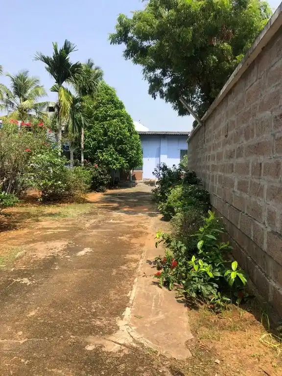 Arulmigu Vinnakaraperumal Temple, Keelapalayam, Tenkasi - 627811 Arulmigu Vinnakaraperumal Temple, -, Tenkasi - 627811, Tenkasi - Ancient Temple Architecture and History Image 4