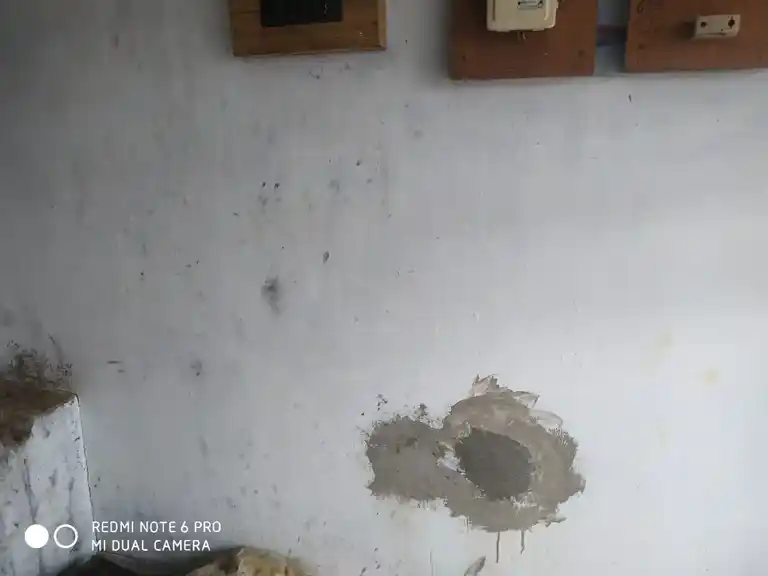 Arulmigu Vinyagar Temple, Sirukalapur - 621706 Arulmigu Vinyagar Temple, Sirukalapur - 621706, Thiruchirappalli - Ancient Temple Architecture and History Image 4