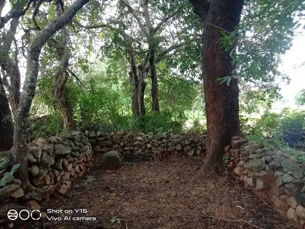Arulmigu Virada Nachiyamman Pidariamman Temple, Mambadi - 636903