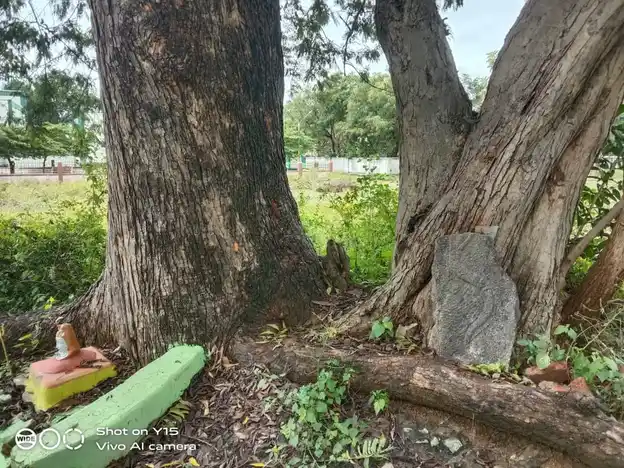 Arulmigu Virada Nachiyamman Pidariamman Temple, Mambadi - 636903 அருள்மிகு விரத நாச்சியம்மன், பிடாரியம்மன் திருக்கோயில், மொரப்பூர், மொரப்பூர் - 636903, Dharmapuri - Ancient Temple Architecture and History Image 2