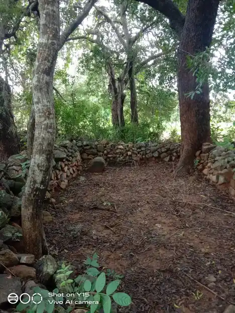 Arulmigu Virada Nachiyamman Pidariamman Temple, Mambadi - 636903 அருள்மிகு விரத நாச்சியம்மன், பிடாரியம்மன் திருக்கோயில், மொரப்பூர், மொரப்பூர் - 636903, Dharmapuri - Ancient Temple Architecture and History Image 3