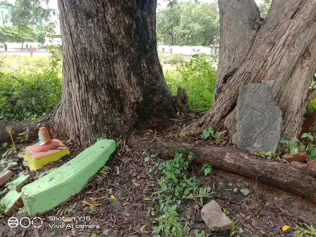 Arulmigu Virada Nachiyamman Pidariamman Temple, Mambadi - 636903 அருள்மிகு விரத நாச்சியம்மன், பிடாரியம்மன் திருக்கோயில், மொரப்பூர், மொரப்பூர் - 636903, Dharmapuri - Ancient Temple Architecture and History Image 4