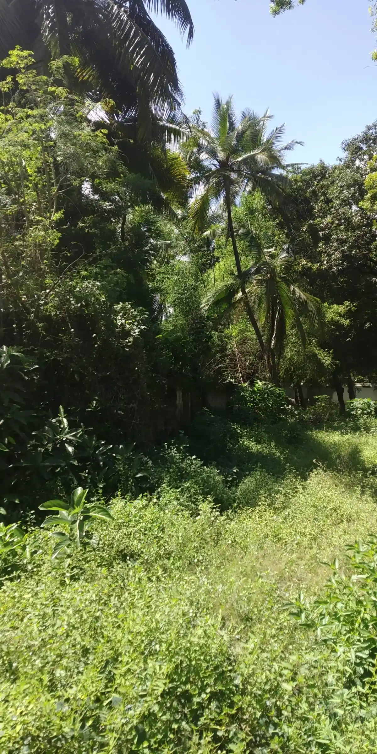 Arulmigu Viralimalai Sathasiva Swamikal Mutt, Thirupuvanam - 612103