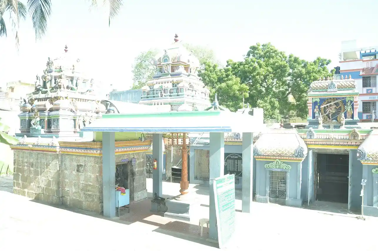 Arulmigu Virubacheeswarar Temple, Mylapore, Chennai - 600004 அருள்மிகு விருபாட்சீஸ்வரர் திருக்கோயில், மயிலாப்பூர், சென்னை - 600004, Chennai - Ancient Temple Architecture and History Image 3