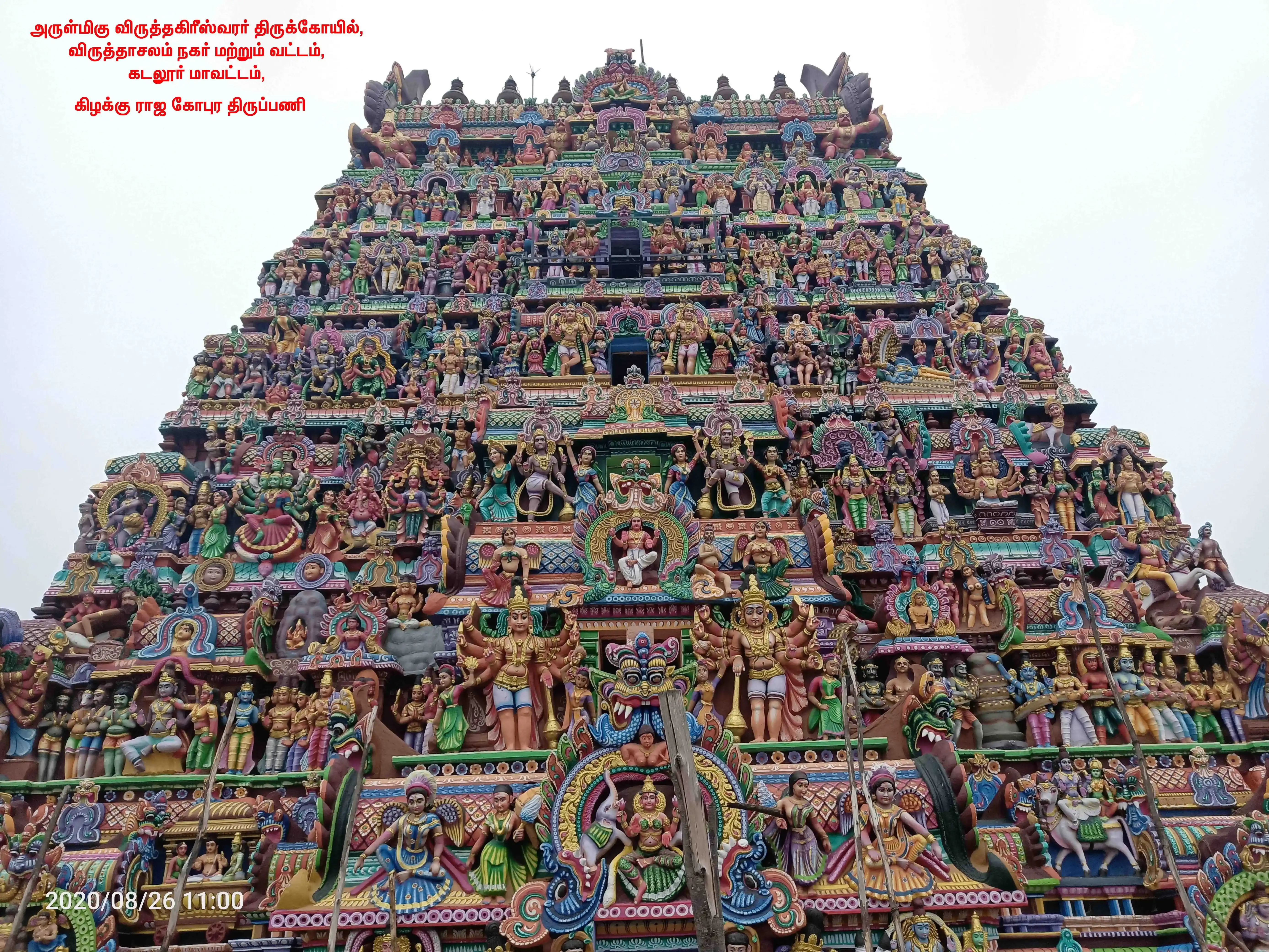 Arulmigu Virudhagireswarar Temple, Vriddhachalam - 606001 அருள்மிகு விருத்தகிரீஸ்வரர் திருக்கோயில், விருத்தாசலம் - 606001, Cuddalore - Ancient Temple Architecture and History Image 3