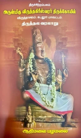 Arulmigu Virudhagireswarar Temple, Vriddhachalam - 606001 அருள்மிகு விருத்தகிரீஸ்வரர் திருக்கோயில், விருத்தாசலம் - 606001, Cuddalore - Ancient Temple Architecture and History Image 6