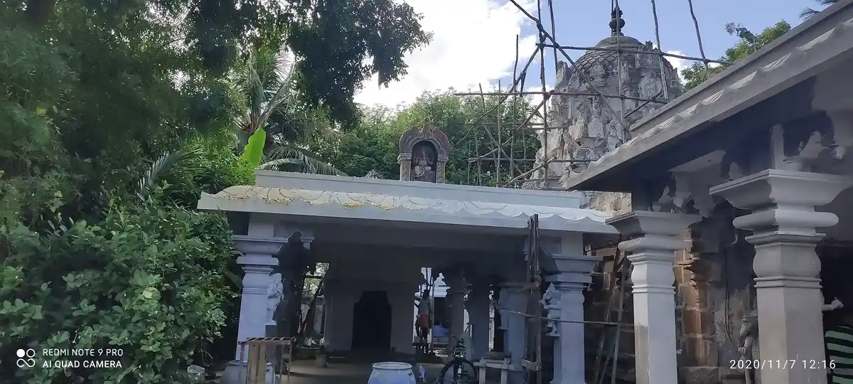 Arulmigu Virupacheesvarar Temple, Serugudi - 609807 அருள்மிகு விருப்பாச்சீஸ்வரர் சுவாமி திருக்கோயில், செறுகுடி - 609807, Thanjavur - Ancient Temple Architecture and History Image 4