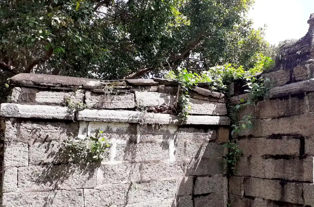 Arulmigu Virupatcheeswarar Temple, Sathancherry - 603106 அருள்மிகு விருப்பாட்சீஸ்வரர் திருக்கோயில், Sathancherry - 603106, Kancheepuram - Ancient Temple Architecture and History Image 4