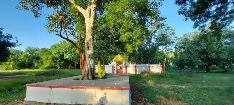Arulmigu Virupatchieeswarar, Kannikulathamman, Padavettamman Vagaiyara Temple, Soorai - 632505