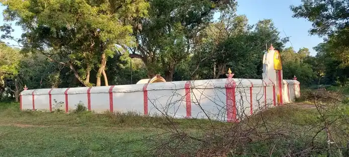 Arulmigu Virupatchieeswarar, Kannikulathamman, Padavettamman Vagaiyara Temple, Soorai - 632505 அருள்மிகு விருப்பாட்சீஸ்வரர் கண்ணிகுலத்தம்மன் படவேட்டம்மன் வகையறா திருக்கோயில், சூரை - 632505, Ranipet - Ancient Temple Architecture and History Image 3