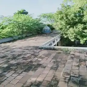 Arulmigu Viruthapureeswarar Temple, Annavasal, Iluppur Taluk - 622101 அருள்மிகு விருத்தபுரீஸ்வரர் திருக்கோயில், அன்னவாசல், இலுப்பூர் வட்டம் - 622101, Pudukkottai - Ancient Temple Architecture and History Image 5