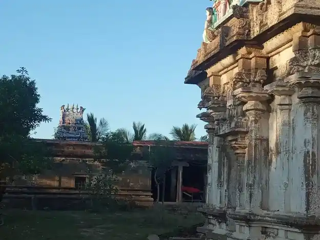 Arulmigu Virutthapurishwarar Temple, Thiruppunavasal - 614629 அருள்மிகு விருத்தபுரீஷ்வரர் திருக்கோயில், திருப்புனவாசல், ஆவுடையார்கோவில் வட்டம் - 614629, Pudukkottai - Ancient Temple Architecture and History Image 5