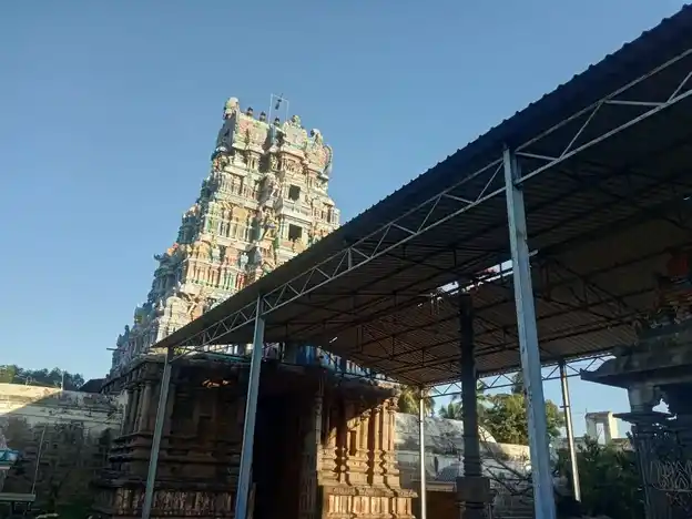 Arulmigu Virutthapurishwarar Temple, Thiruppunavasal - 614629 அருள்மிகு விருத்தபுரீஷ்வரர் திருக்கோயில், திருப்புனவாசல், ஆவுடையார்கோவில் வட்டம் - 614629, Pudukkottai - Ancient Temple Architecture and History Image 6
