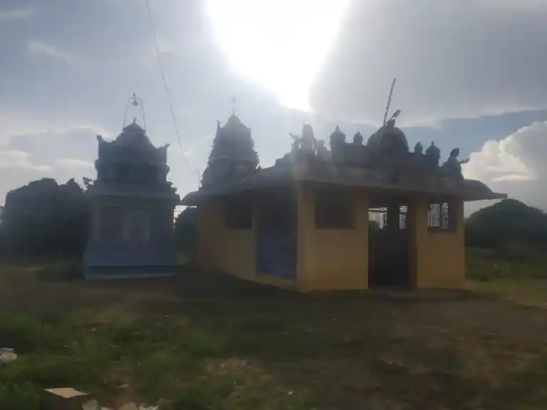Arulmigu Visalatchi Sametha Srikasi Vishwanathar Temple, Vattanam - 623409 Temple