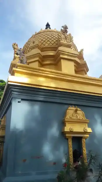 Arulmigu Visalatchi Vedalinganathar Temple, Thatchakadu - 608501 அருள்மிகு விசாலாட்சி வேதலிங்கநாதர் திருக்கோயில், Thatchakadu - 608501, Cuddalore - Ancient Temple Architecture and History Image 3