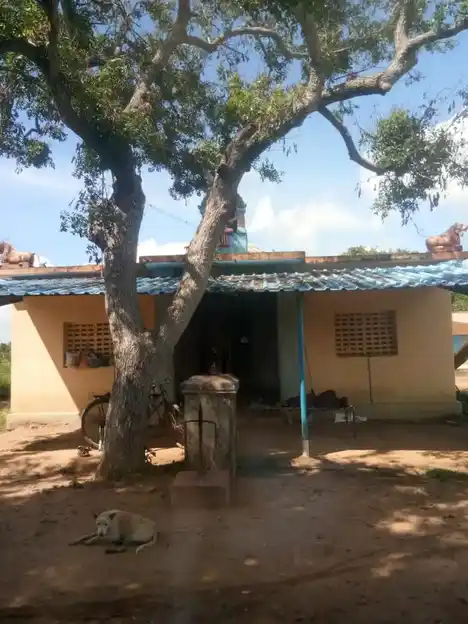 Arulmigu Visham Theertha Mariyamman Temple, Vadakkuyudaiyar Maniyam - 614014 அருள்மிகு விஷம்தீர்த்த மாரியம்மன் திருக்கோயில், Vadakkuyudaiyar Maniyam - 614014, Thiruvarur - Ancient Temple Architecture and History Image 2