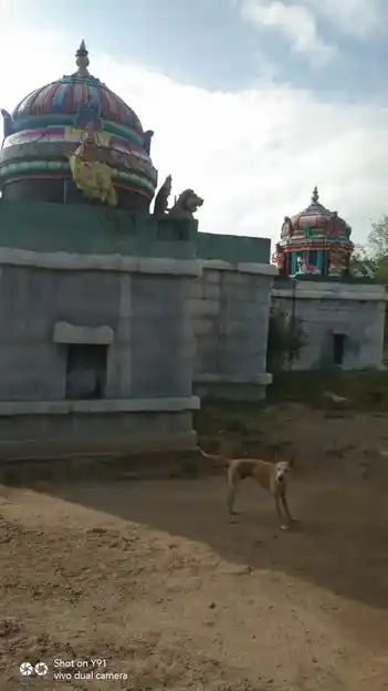 Arulmigu Vishavanaathaswamy Temple, Ammachatthiram - 622504 அருள்மிகு விஸ்வநாதசாமி திருக்கோயில், அம்மாசத்திரம் - 622504, Pudukkottai - Ancient Temple Architecture and History Image 4