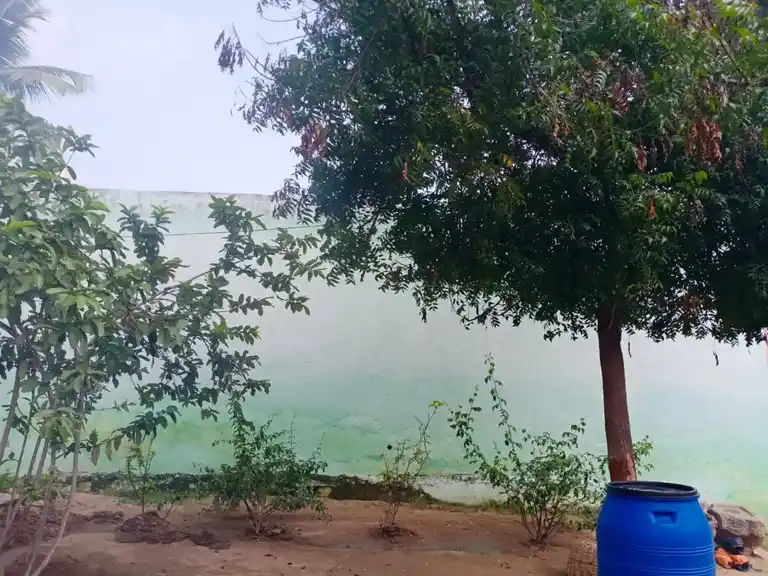 Arulmigu Vishnumurugan Temple, Eechangkaadu - 635206 அருள்மிகு விஷ்ணு முருகன் திருக்கோயில், ஈச்சங்காடு, Eechangkaadu - 635206, Krishnagiri - Ancient Temple Architecture and History Image 3