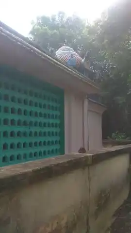 Arulmigu Vishva Ruba Pillaiyar Temple, Kizha Mathur - 609309 Arulmigu Vishva Ruba Pillaiyar Temple, Kizha Mathur - 609309, Mayiladuthurai - Ancient Temple Architecture and History Image 3