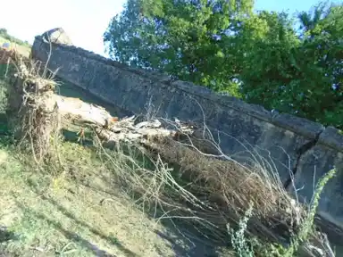 Arulmigu Vishvanaathaswamy Temple, Ninniyur - 614619 அருள்மிகு விஸ்வநாதசுவாமி திருக்கோயில், Ninniyur - 614619, Pudukkottai - Ancient Temple Architecture and History Image 7