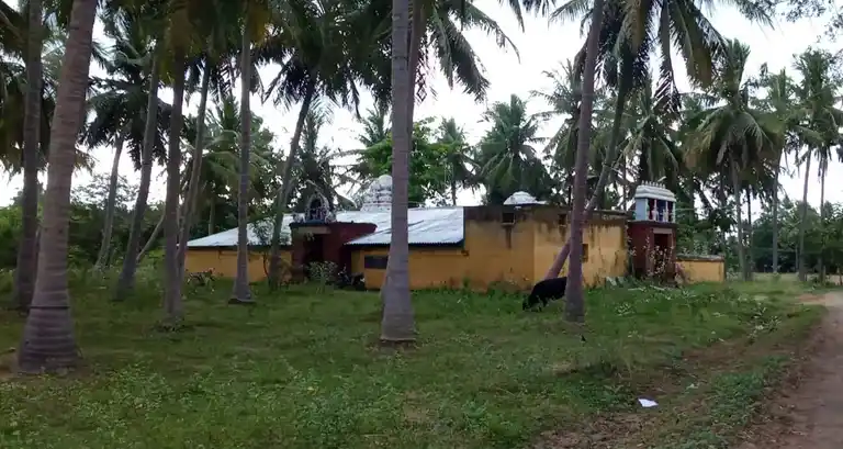 Arulmigu Vishvanaathaswamy Temple, Thirunaalur - 614622