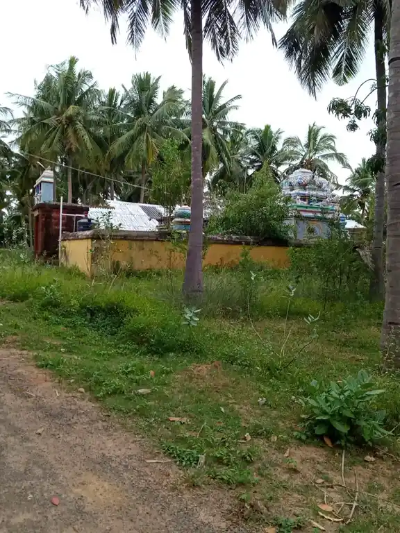 Arulmigu Vishvanaathaswamy Temple, Thirunaalur - 614622 அருள்மிகு விஸ்வநாதசுவாமி திருக்கோயில், Thirunaalur - 614622, Pudukkottai - Ancient Temple Architecture and History Image 2