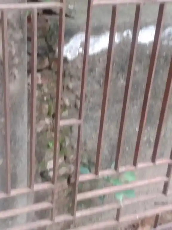 Arulmigu Vishvanatha Swamy Temple, Puthusathiram - 613105 அருள்மிகு விஸ்வநாதசுவாமி திருக்கோயில், Puthusathiram - 613105, Thanjavur - Ancient Temple Architecture and History Image 3