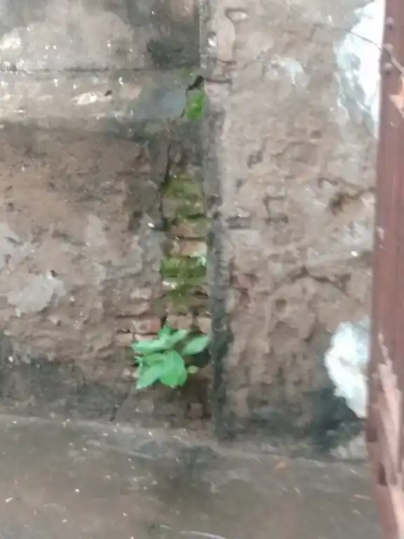 Arulmigu Vishvanatha Swamy Temple, Puthusathiram - 613105 அருள்மிகு விஸ்வநாதசுவாமி திருக்கோயில், Puthusathiram - 613105, Thanjavur - Ancient Temple Architecture and History Image 6