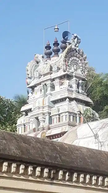 Arulmigu Vishvanatha Temple, Kumbakonam - 612001 அருல்மிகு விஸ்வநாதர் கோயில், Kumbakonam - 612001, Thanjavur - Ancient Temple Architecture and History Image 13