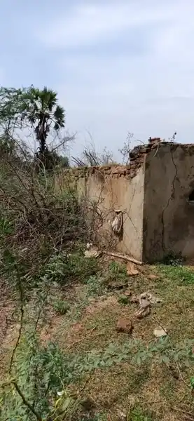 Arulmigu Vishvanathaswamy Temple, Agara Thirappu - 610101 அருள்மிகு விஸ்வநாத சுவாமி திருக்கோயில், Agara Thirappu, Agara Thirappu - 610101, Nagapattinam - Ancient Temple Architecture and History Image 3