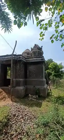 Arulmigu Vishvanathaswamy Temple, Veerapogam - 610101 Arulmigu Vishvanathaswamy Temple, Veerapogam - 610101, Nagapattinam - Ancient Temple Architecture and History Image 2