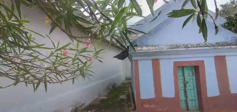 Arulmigu Vishveshwarar Temple, Chellappampalayam, Chellappampalayam - 642207 அருள்மிகு விஸ்வேஸ்வரர் சுவாமி திருக்கோயில், செல்லப்பம்பாளையம், Chellappampalayam - 642207, Tiruppur - Ancient Temple Architecture and History Image 5