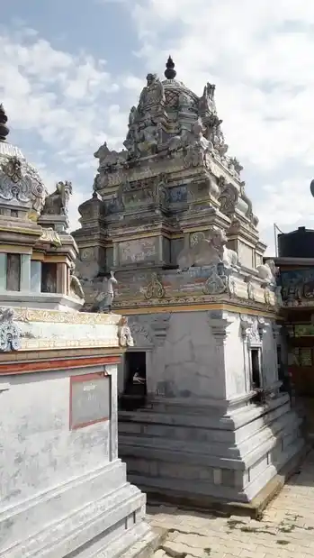 Arulmigu Vishwalingaswamy Vaithishwaraswamy Temple, Perutharaingudi, Perutharaingudi - 613704 அருள்மிகு விஸ்வலிங்கஸ்வாமி வைத்தீஸ்வரஸ்வாமி திருக்கோயில், பெருந்தரைக்குடி - 613704, Thiruvarur - Ancient Temple Architecture and History Image 4