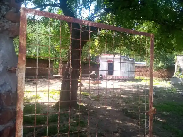 Arulmigu Vishwanatha Suwamy Visalachi Temple, Keelarankiyam - 630611 அருள்மிகு விஸ்வநாதசாமி விசாலாட்சி திருக்கோயில்,  - 630611, Sivagangai - Ancient Temple Architecture and History Image 2