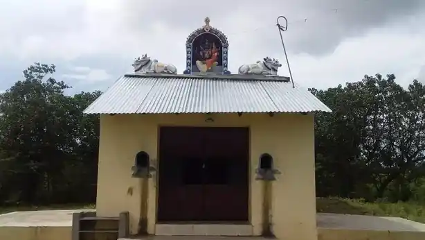 Arulmigu Vishwanatha Swamy Dharmam, Venmanacheri - 611103 Temple
