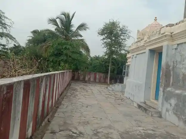 Arulmigu Vishwanatha Swamy Temple, Nagudi - 611104 அருள்மிகு விஸ்வநாதசுவாமி திருக்கோயில், Nagudi - 611104, Nagapattinam - Ancient Temple Architecture and History Image 3