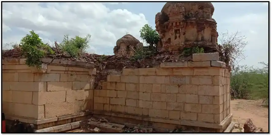 Arulmigu Vishwanathar Temple, Naanjoor - 622502 அருள்மிகு விஸ்வநாதர் திருக்கோயில், நாஞ்சூர் - 622502, Pudukkottai - Ancient Temple Architecture and History Image 9