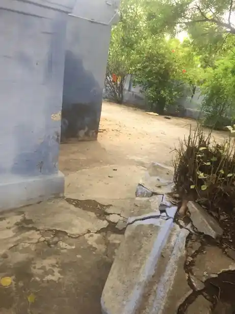 Arulmigu Vishwanathaswamy Temple, Cheranmahadevi - 627414 அருள்மிகு விஸ்வநாத சாமி திருக்கோயில், Cheranmahadevi - 627414, Tirunelveli - Ancient Temple Architecture and History Image 3