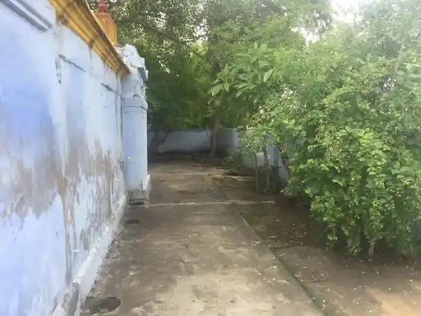 Arulmigu Vishwanathaswamy Temple, Cheranmahadevi - 627414 அருள்மிகு விஸ்வநாத சாமி திருக்கோயில், Cheranmahadevi - 627414, Tirunelveli - Ancient Temple Architecture and History Image 4