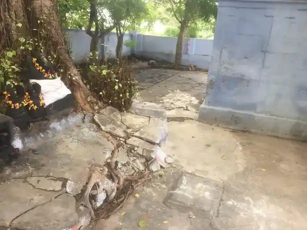 Arulmigu Vishwanathaswamy Temple, Cheranmahadevi - 627414 அருள்மிகு விஸ்வநாத சாமி திருக்கோயில், Cheranmahadevi - 627414, Tirunelveli - Ancient Temple Architecture and History Image 6