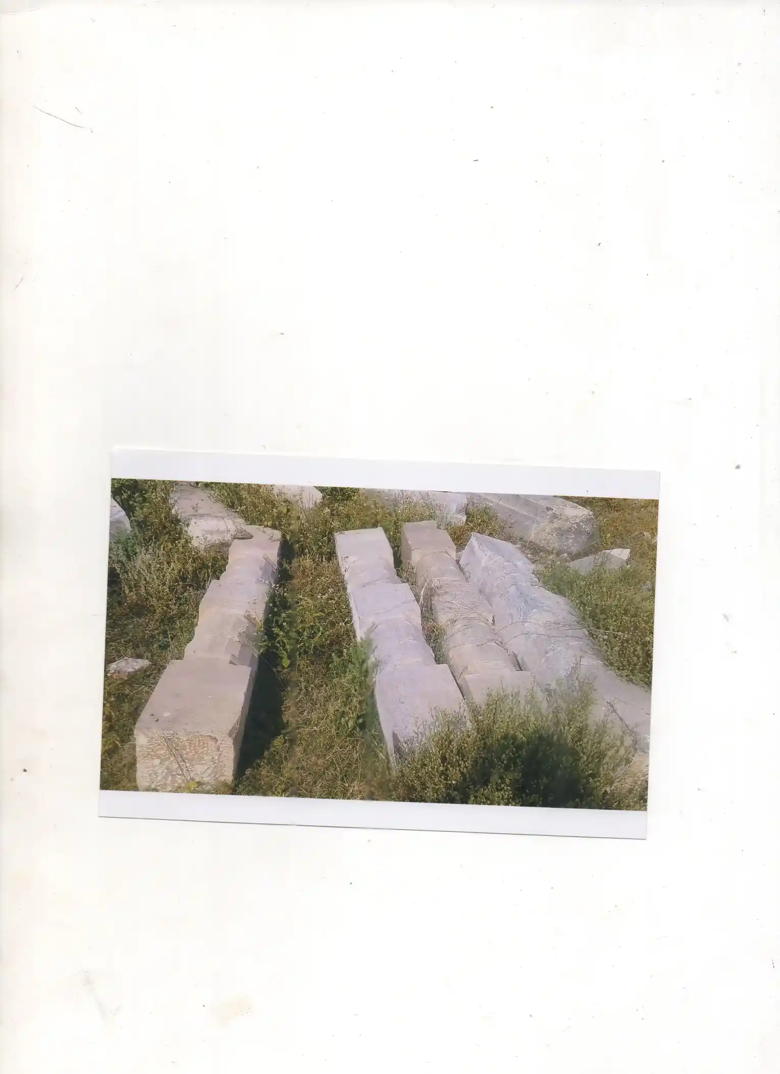 Arulmigu Vishwanathaswamy Temple, Karupur 19-1 - 610101 அருள்மிகு விஷ்வநாதசுவாமி கருப்பூர் சுவாமி, Karupur 19-1 - 610101, Thiruvarur - Ancient Temple Architecture and History Image 6