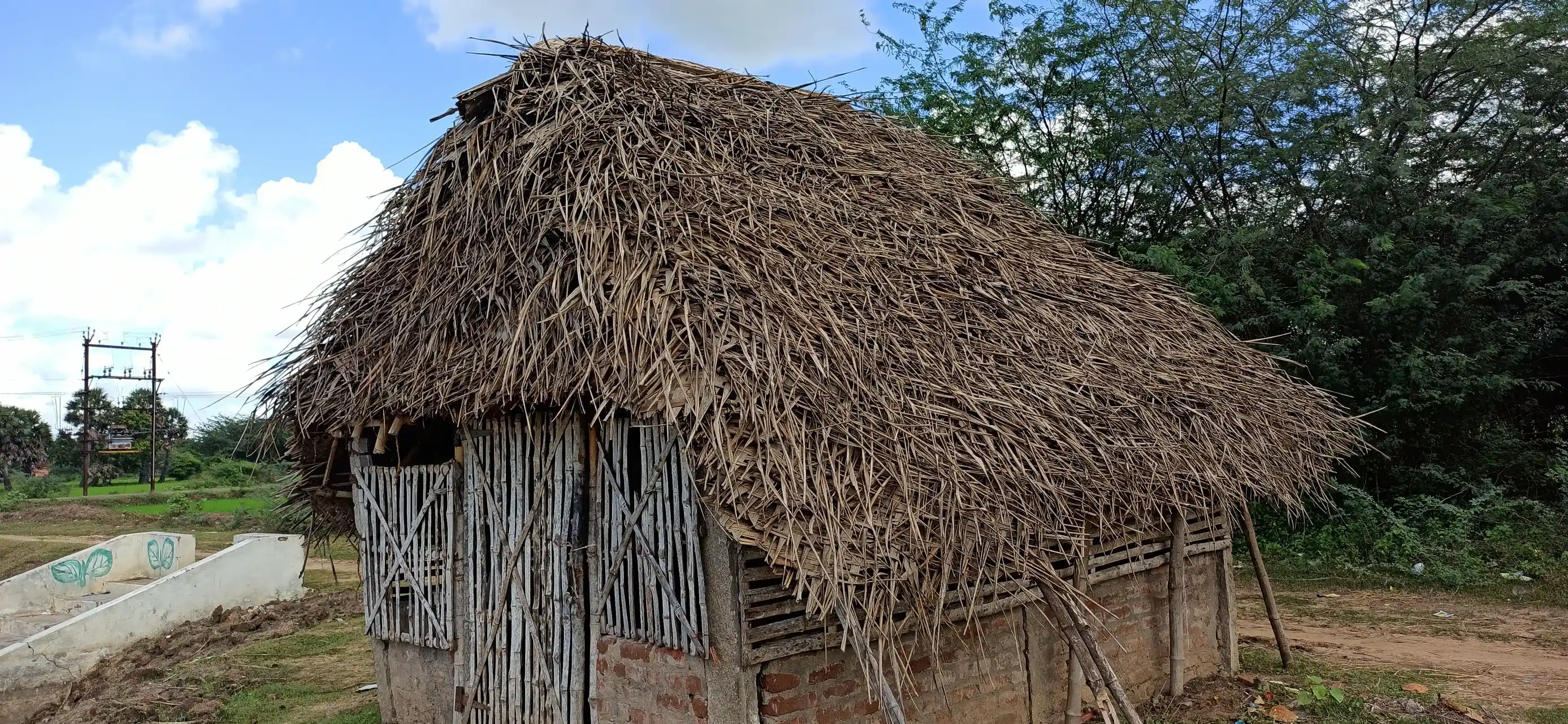 Arulmigu Vishwanathaswamy Temple, Pazhagudi - 610103 Arulmigu Vishwanathaswamy Temple, Pazhagudi - 610103, Thiruvarur - Ancient Temple Architecture and History Image 4